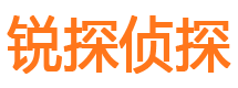 江夏市出轨取证